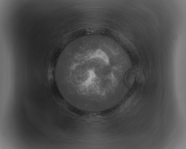 X0000100470770200806271141