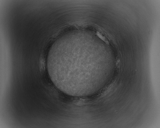 X0000100470772200806271141