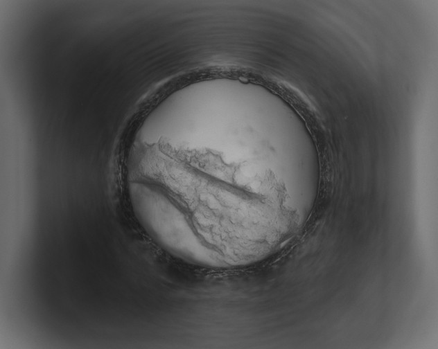 X0000100470776200806271141