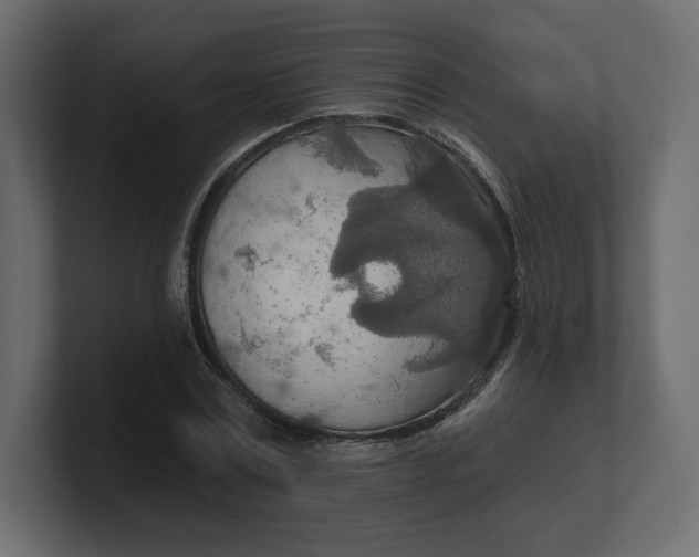 X0000100470779200806271141