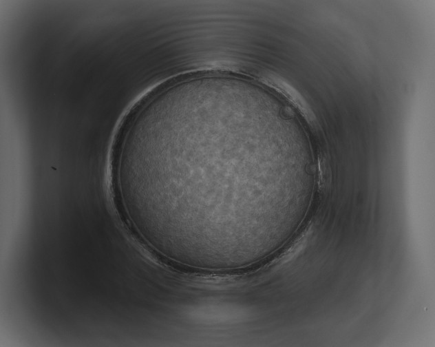 X0000100470780200806271141