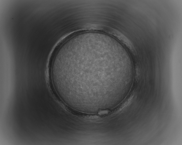 X0000100470784200806271141