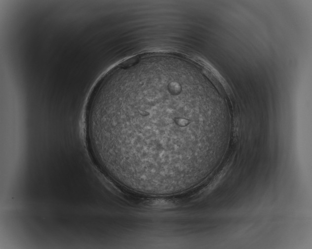 X0000100470787200806271141