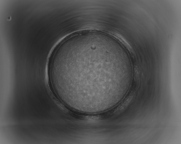 X0000100470788200806271140