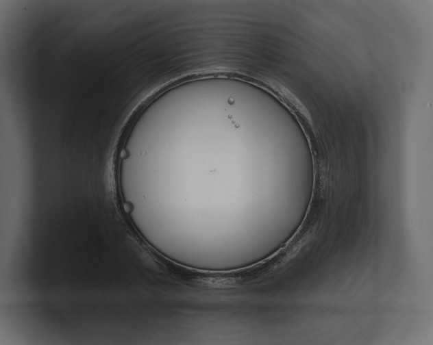 X0000100470789200806271140