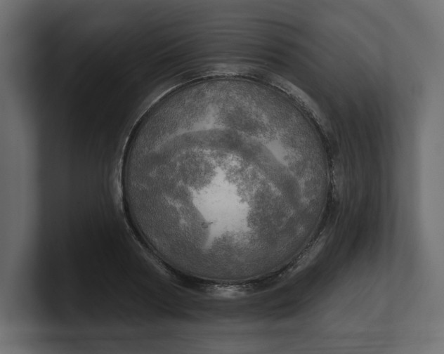 X0000100470794200806271140