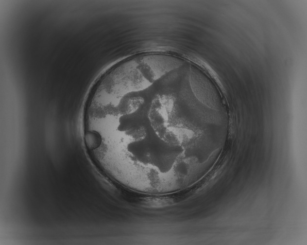 X0000100470795200806271140