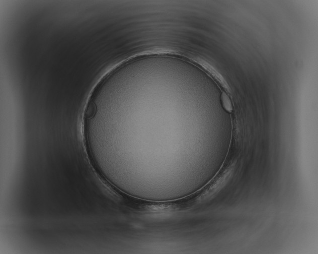 X0000100470797200806271140