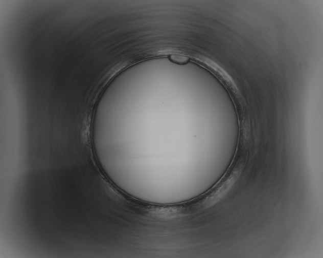 X0000100470801200806271140