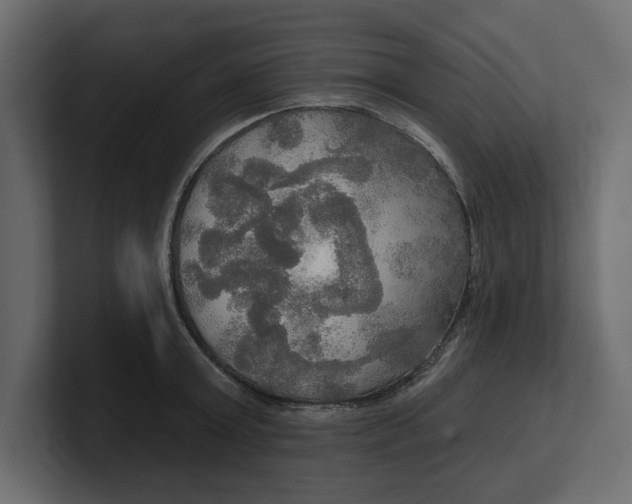 X0000100470803200806271140