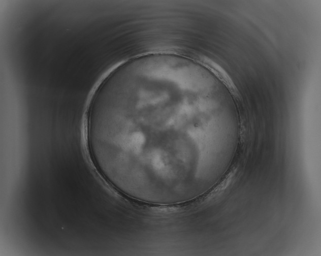 X0000100470804200806271140