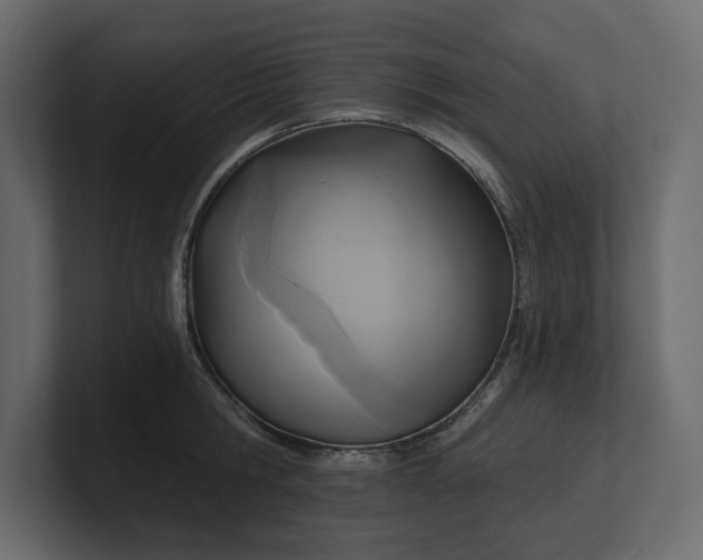 X0000100470806200806271140