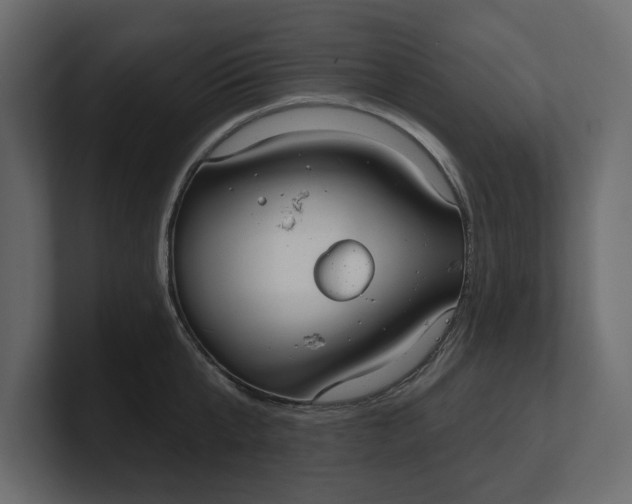 X0000100470807200806271140