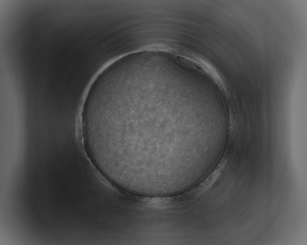 X0000100470808200806271140