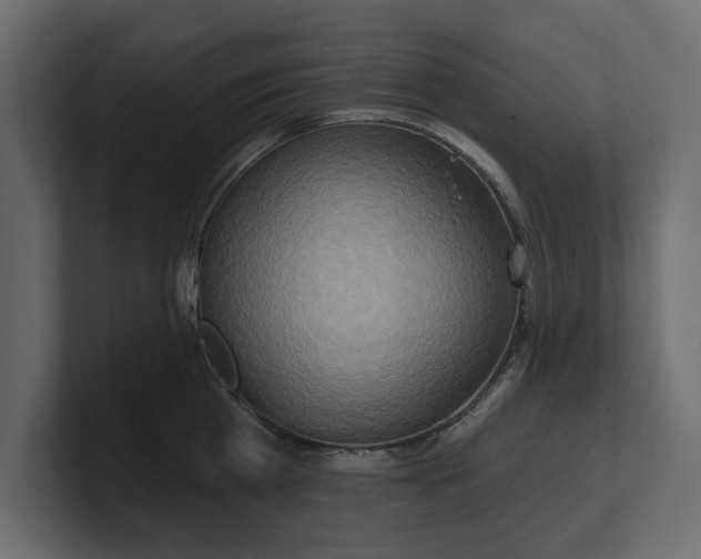 X0000100470809200806271140