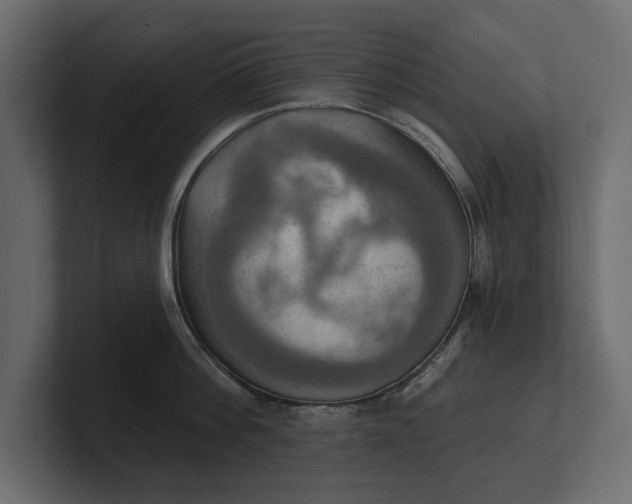 X0000100470812200806271140