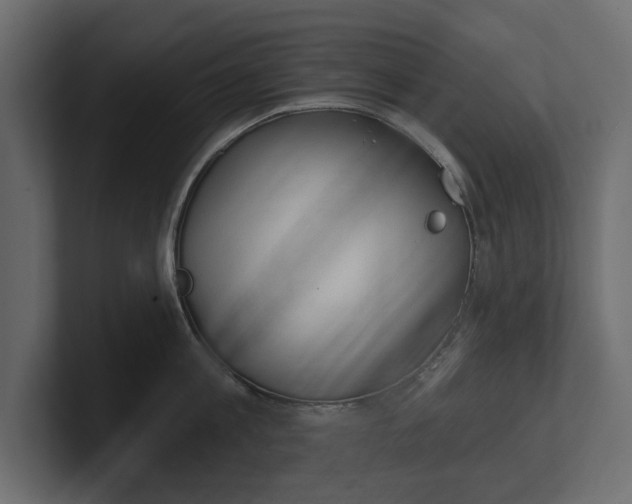 X0000100470813200806271140