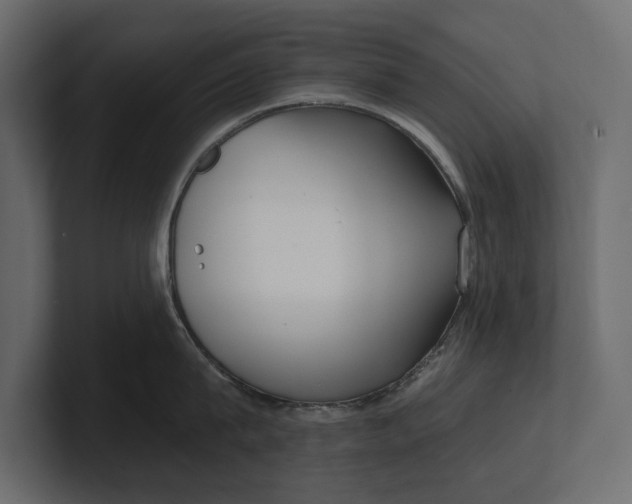 X0000100470815200806271140