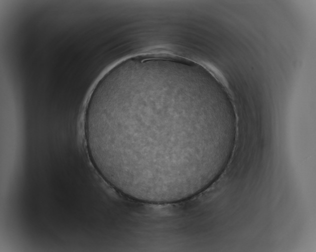 X0000100470816200806271140