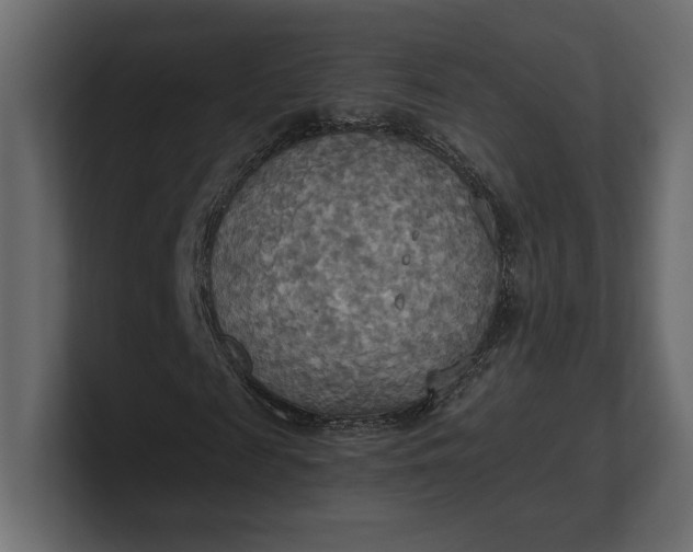 X0000100470817200806271139