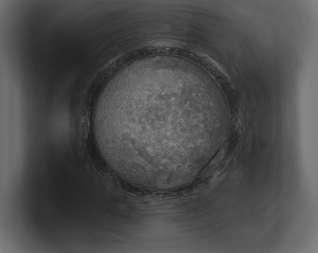 X0000100470821200806271140