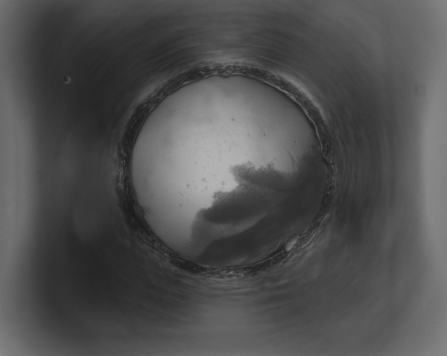 X0000100470823200806271140