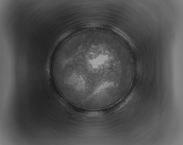 X0000100470826200806271140