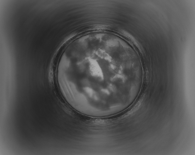 X0000100470827200806271140