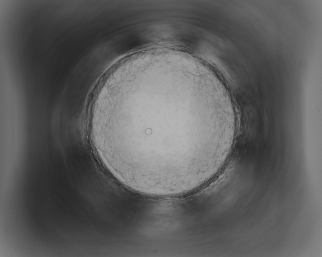 X0000100470828200806271140