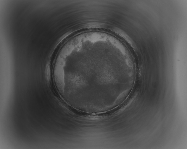 X0000100470829200806271140