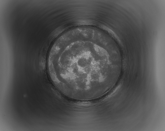 X0000100470833200806271140