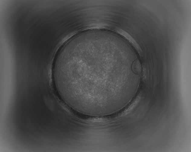 X0000100470834200806271140