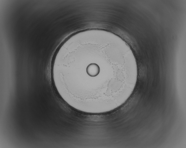 X0000100470836200806271140