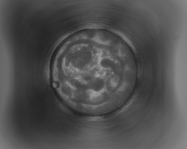 X0000100470837200806271140