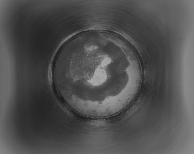 X0000100470838200806271140