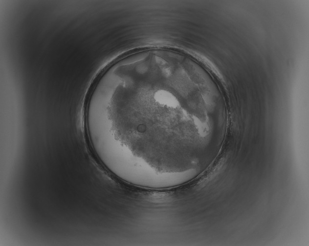 X0000100470839200806271140