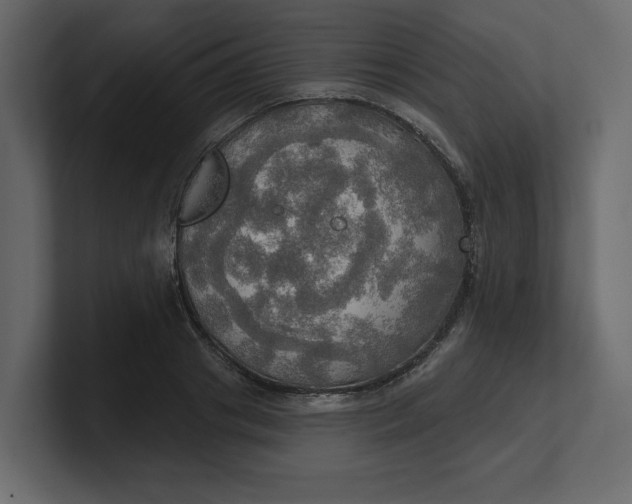 X0000100470841200806271140