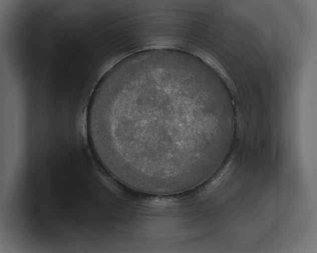 X0000100470842200806271140