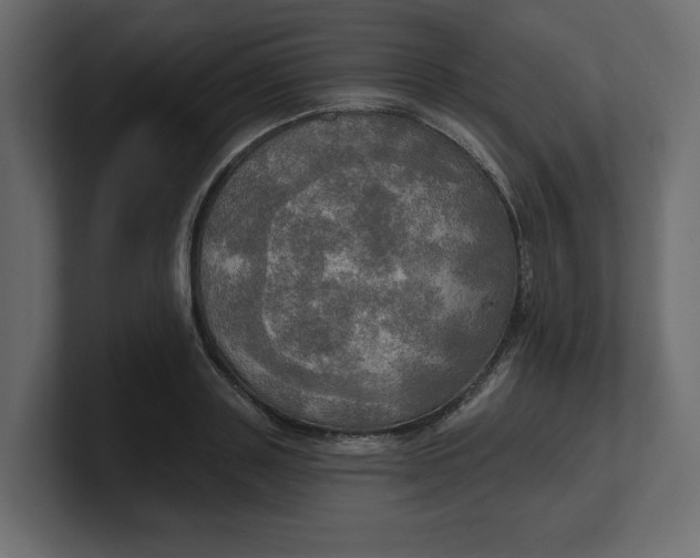 X0000100470843200806271140