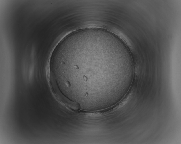 X0000100470844200806271140