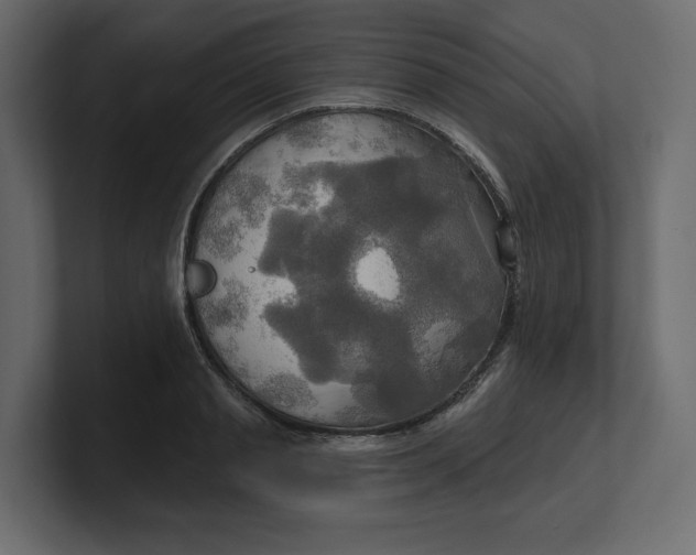 X0000100470845200806271140