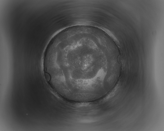 X0000100470846200806271140