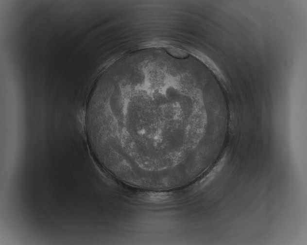 X0000100470849200806271140