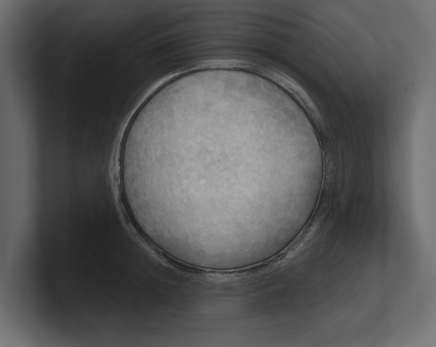 X0000100470852200806271140