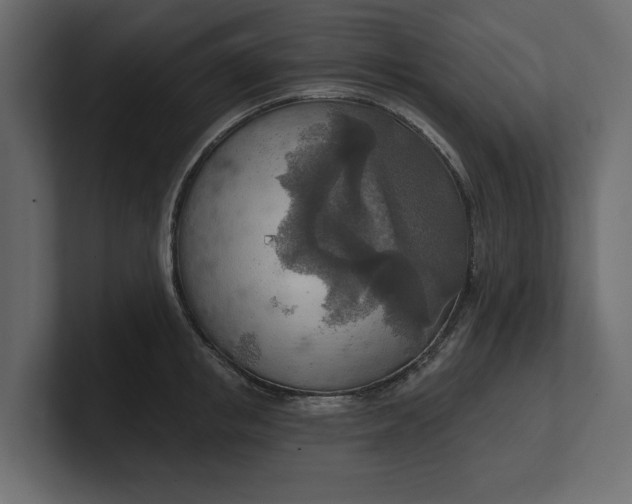 X0000100470853200806271140