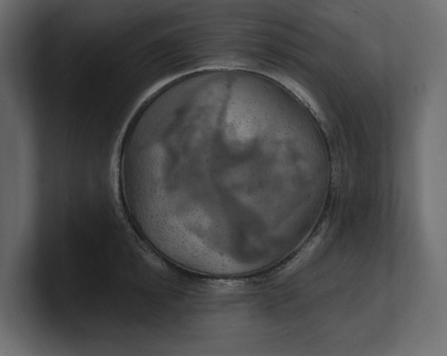 X0000100470854200806271140