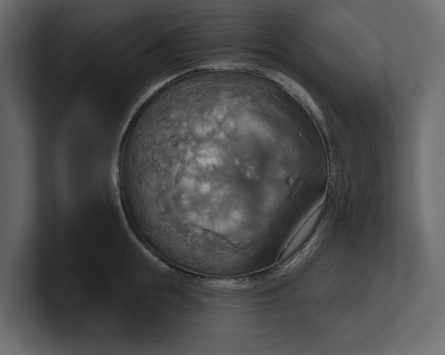 X0000100470855200806271140