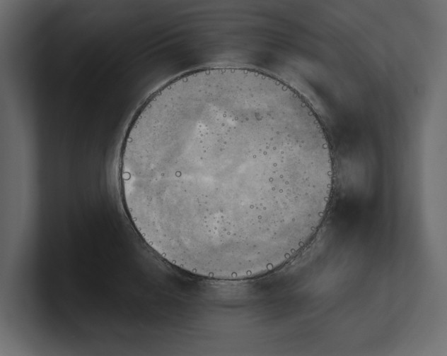 X0000100470856200806271140