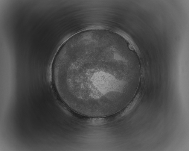 X0000100470858200806271140