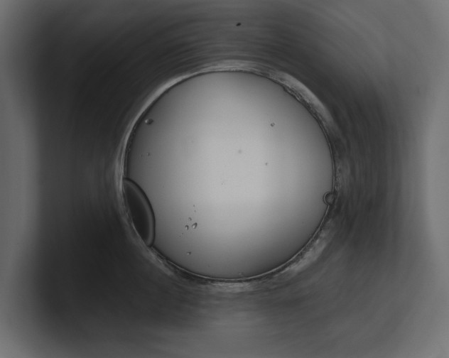 X0000100470860200806271140